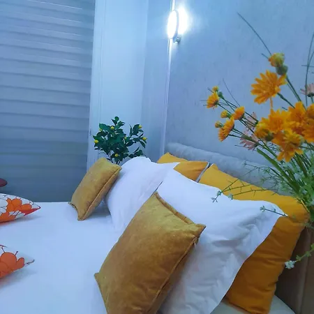 Bani's Cozy Lovely Apartment Tirana