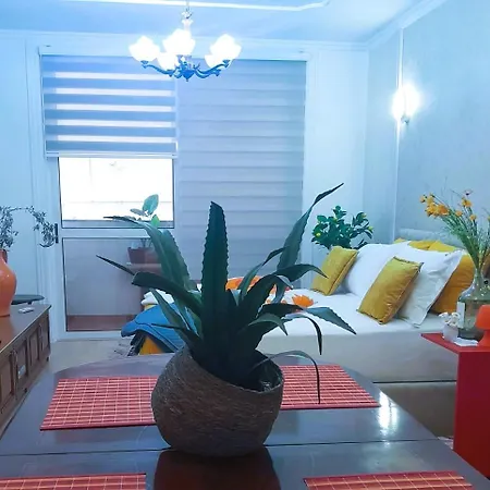 Bani's Cozy Lovely Apartment