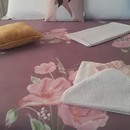 Bani's Cozy Lovely * Tirana