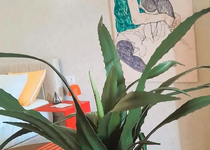 Bani's Cozy Lovely アパート