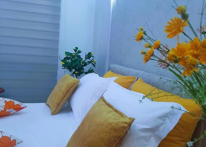 Bani's Cozy Lovely Apartament Tirana